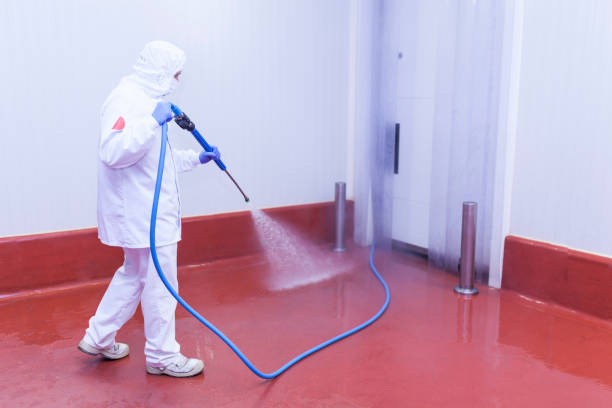 Best Graffiti Removal  in Rocky Mount, VA